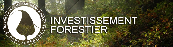 Investissement forestier