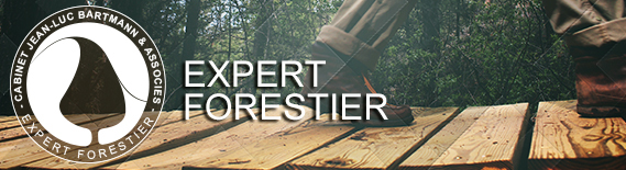 L'expert forestier